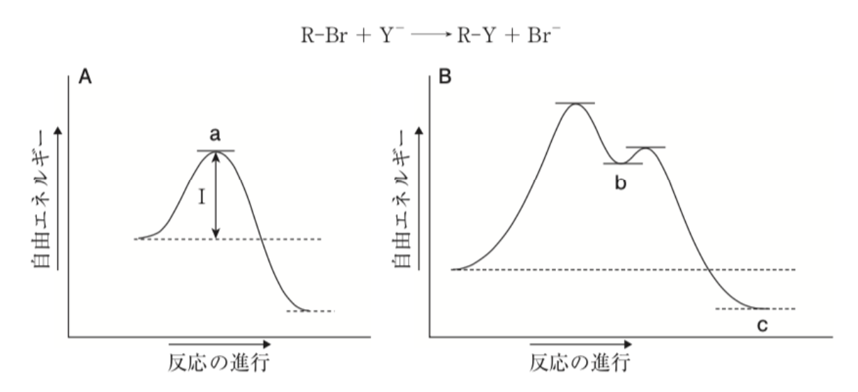 解説画像